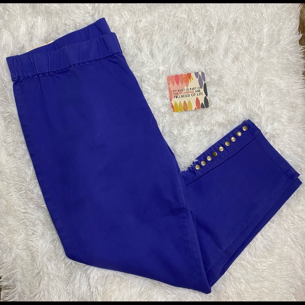 NWT Soft Surroundings Violet Ankle Pant